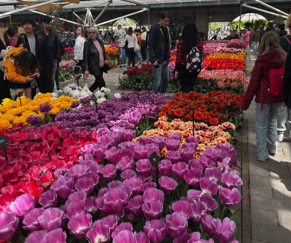 keukenhof prakticke informace