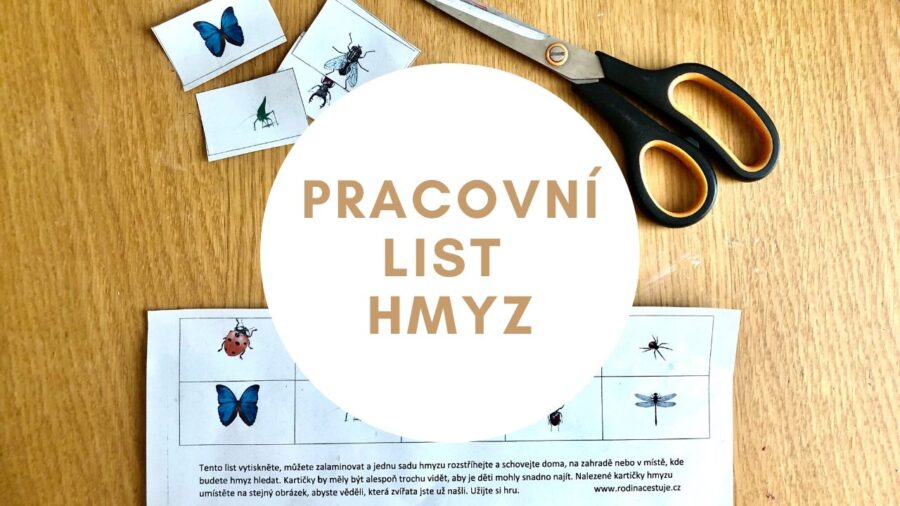 Pracovní list Hmyz
